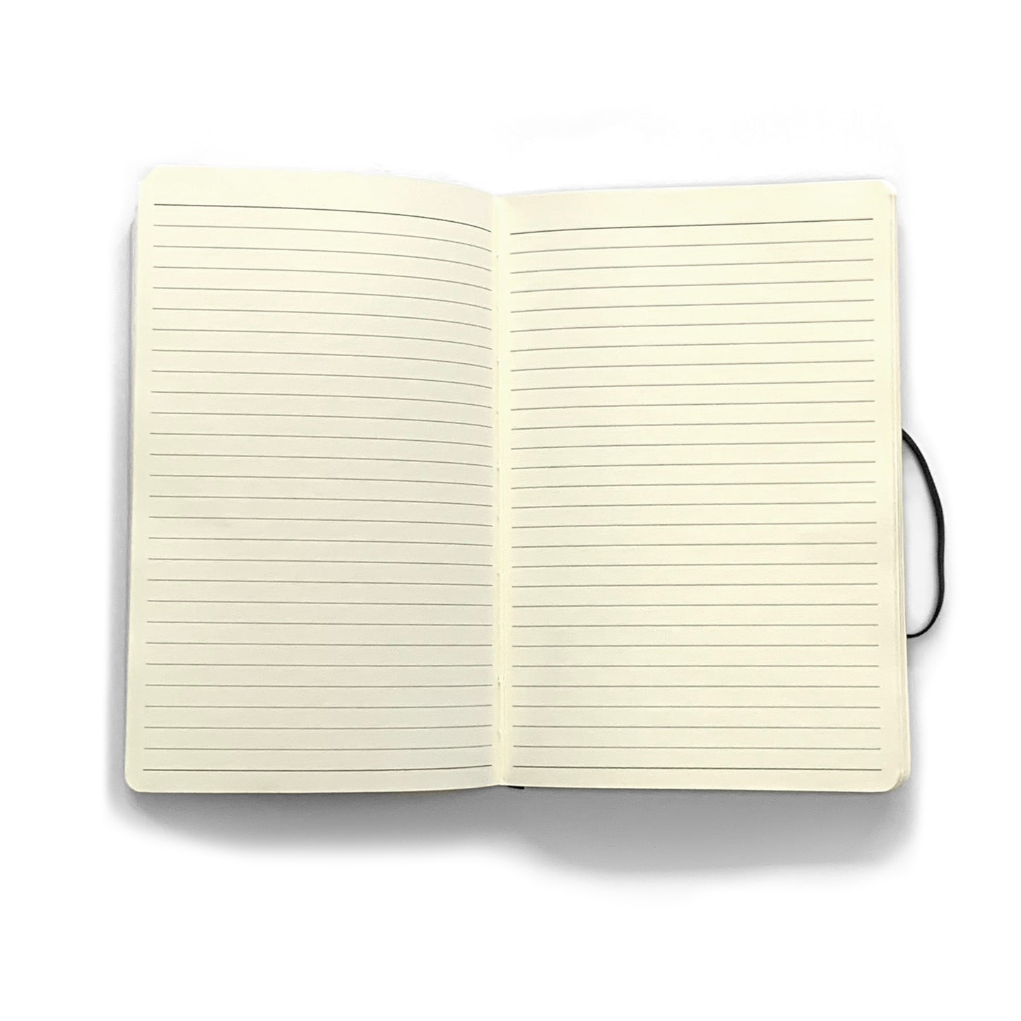 PALM Journal (soft bound)
