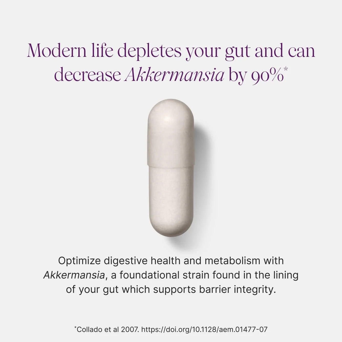 Akkermansia 100 - 30 capsules