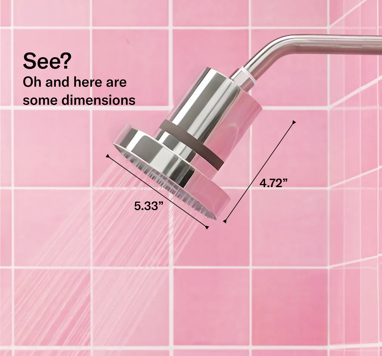 Filtered Shower Head - Modern Chrome