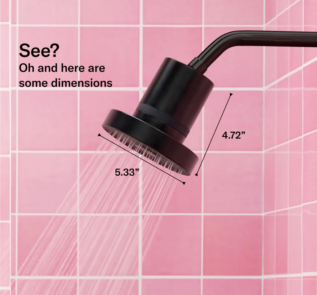 Filtered Shower Head - Black