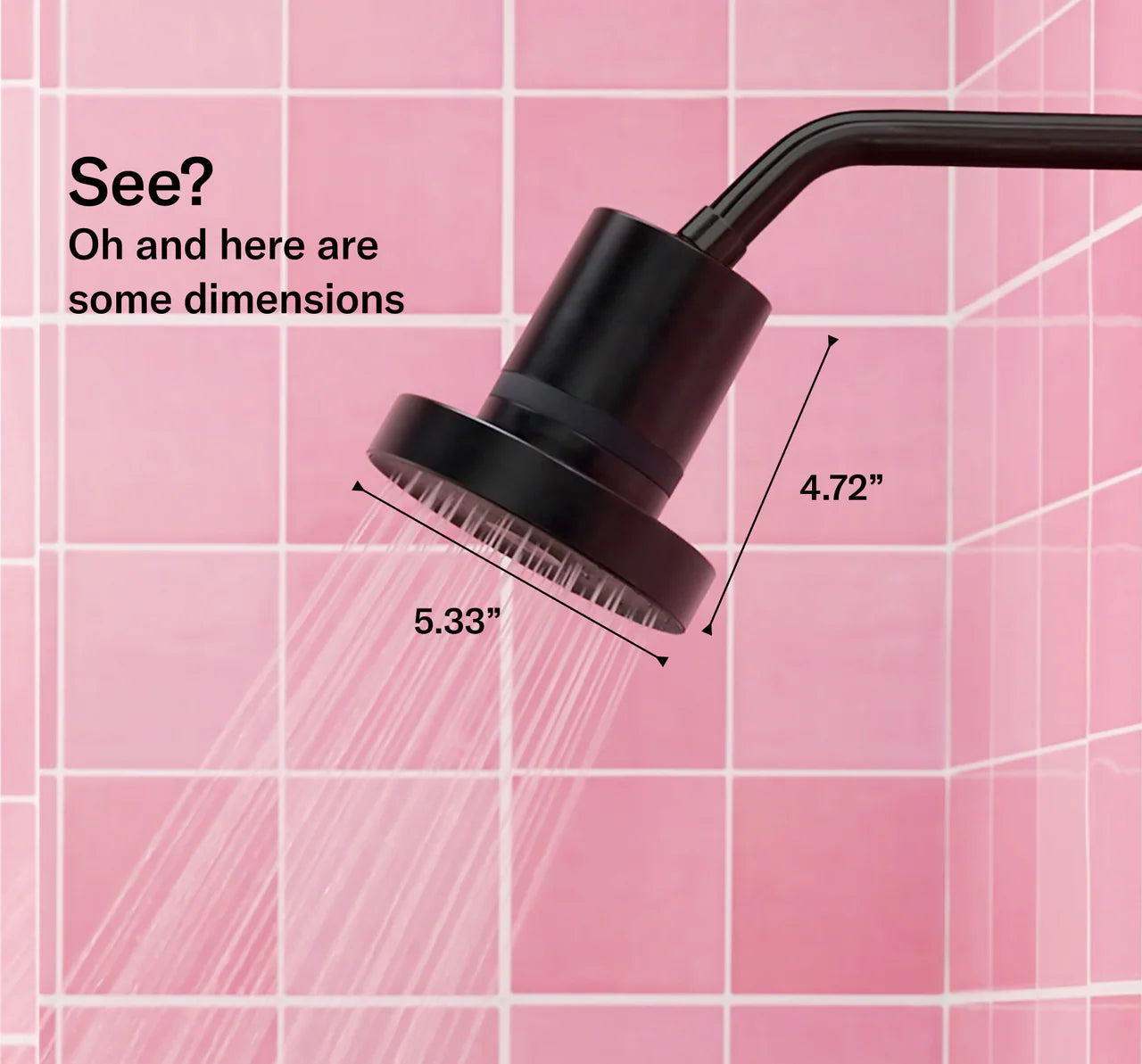 Filtered Shower Head - Black