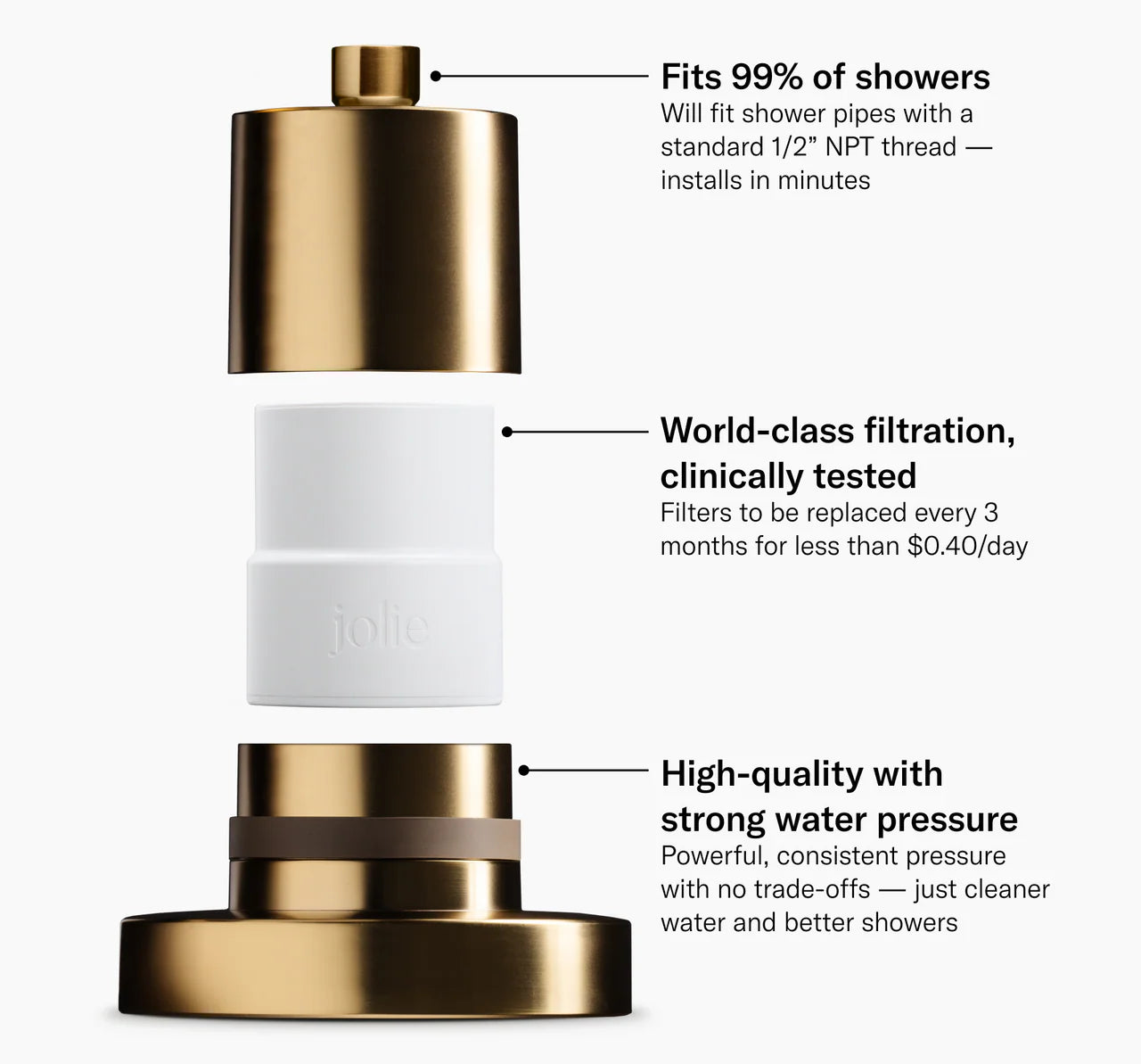 Filtered Shower Head - Brushed Gold