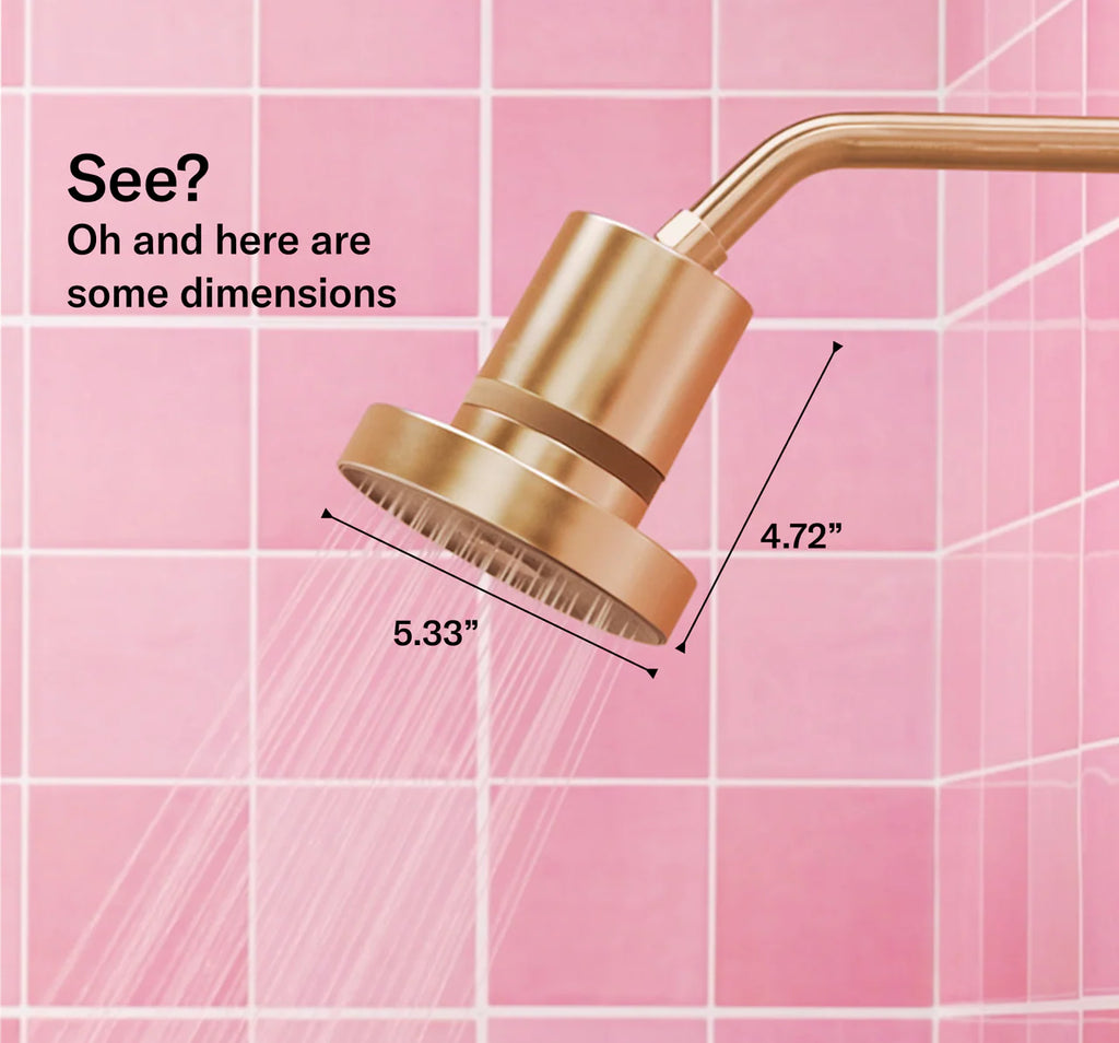 Filtered Shower Head - Brushed Gold