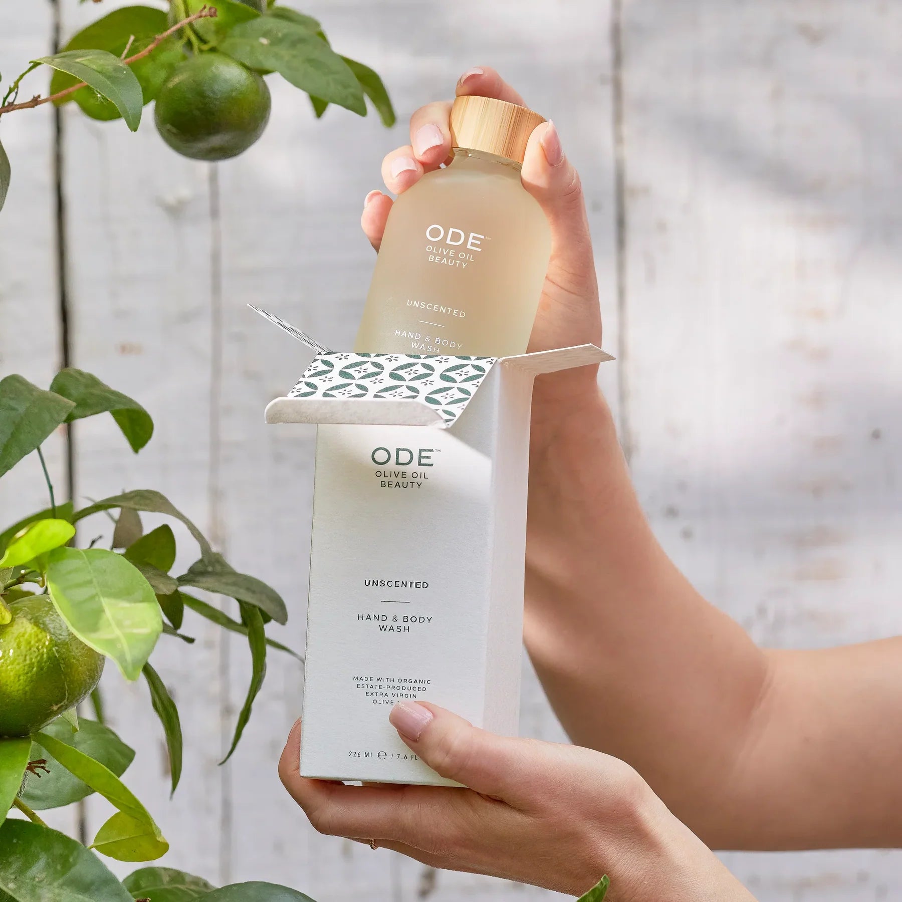 Ode Olive Oil Hand and Body Wash - Lavender