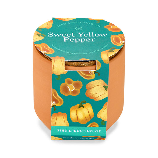 Tiny Terracotta Garden Kit- Sweet Yellow Pepper