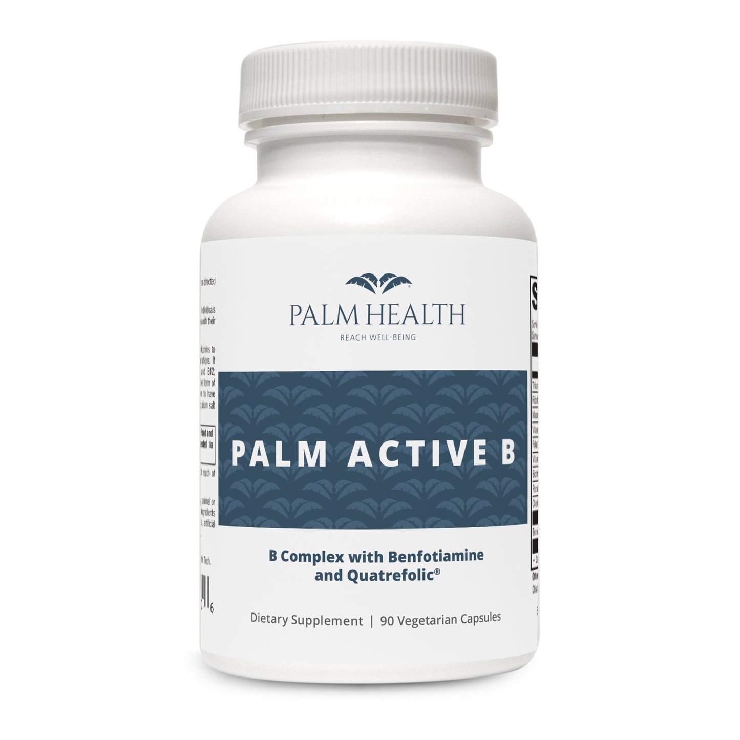 PALM Active B